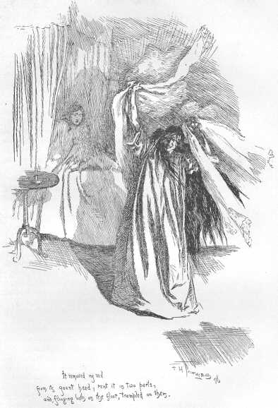 It removed my veil from its gaunt head, rent it in two
parts, and flinging both on the floor, trampled on them