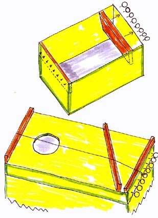 C�tara